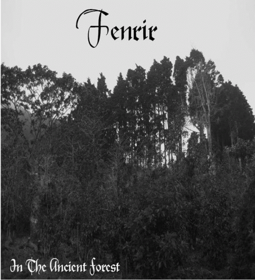 Fenrir (SLV) : In the Ancient Forest